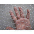 Decorative Metal Hexagonal 2 Inch Wire Mesh , Chicken Wire